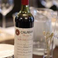   CalabriaCamily Wines